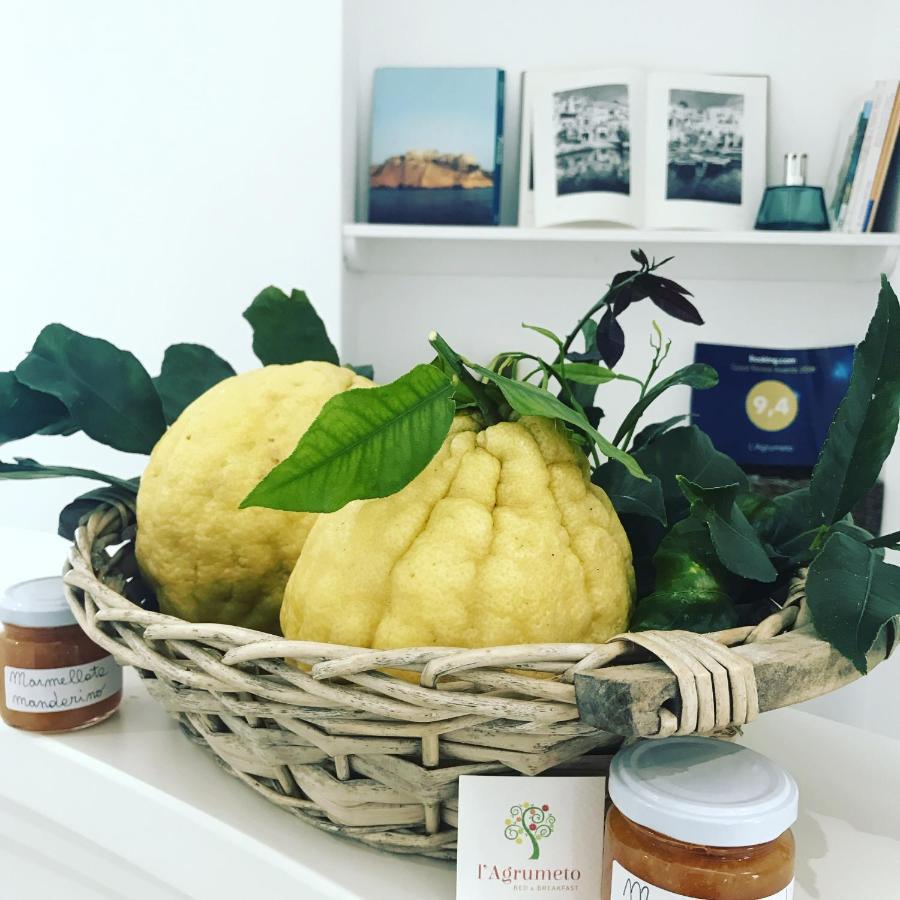 L'Agrumeto Procida Esterno foto