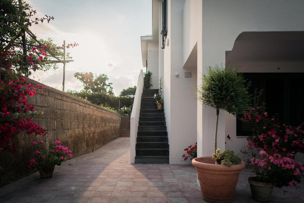L'Agrumeto Procida Esterno foto