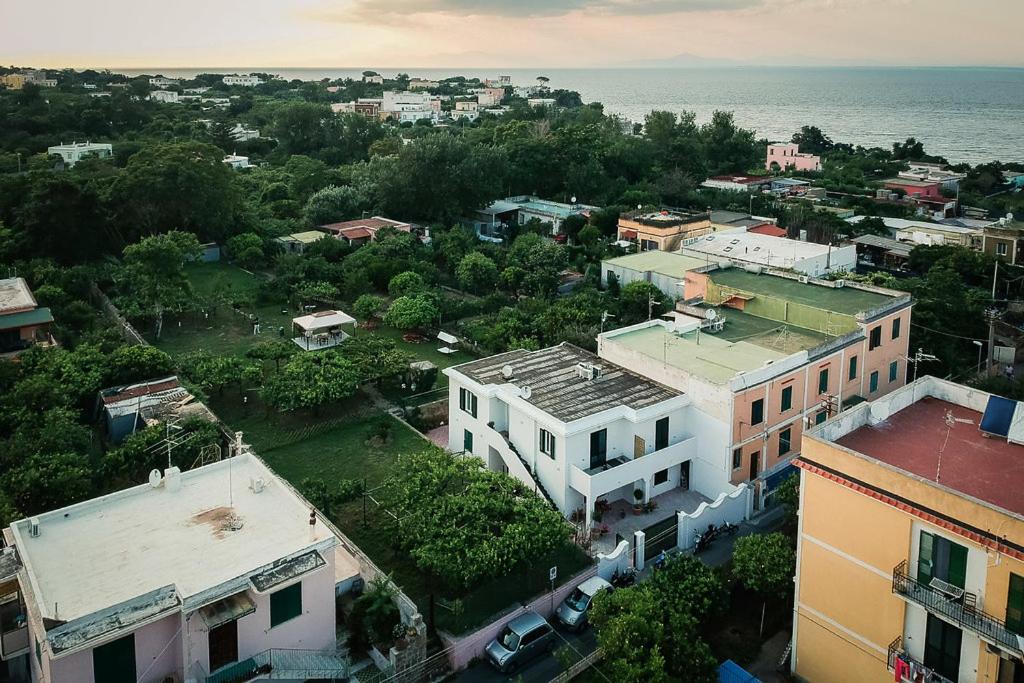 L'Agrumeto Procida Esterno foto